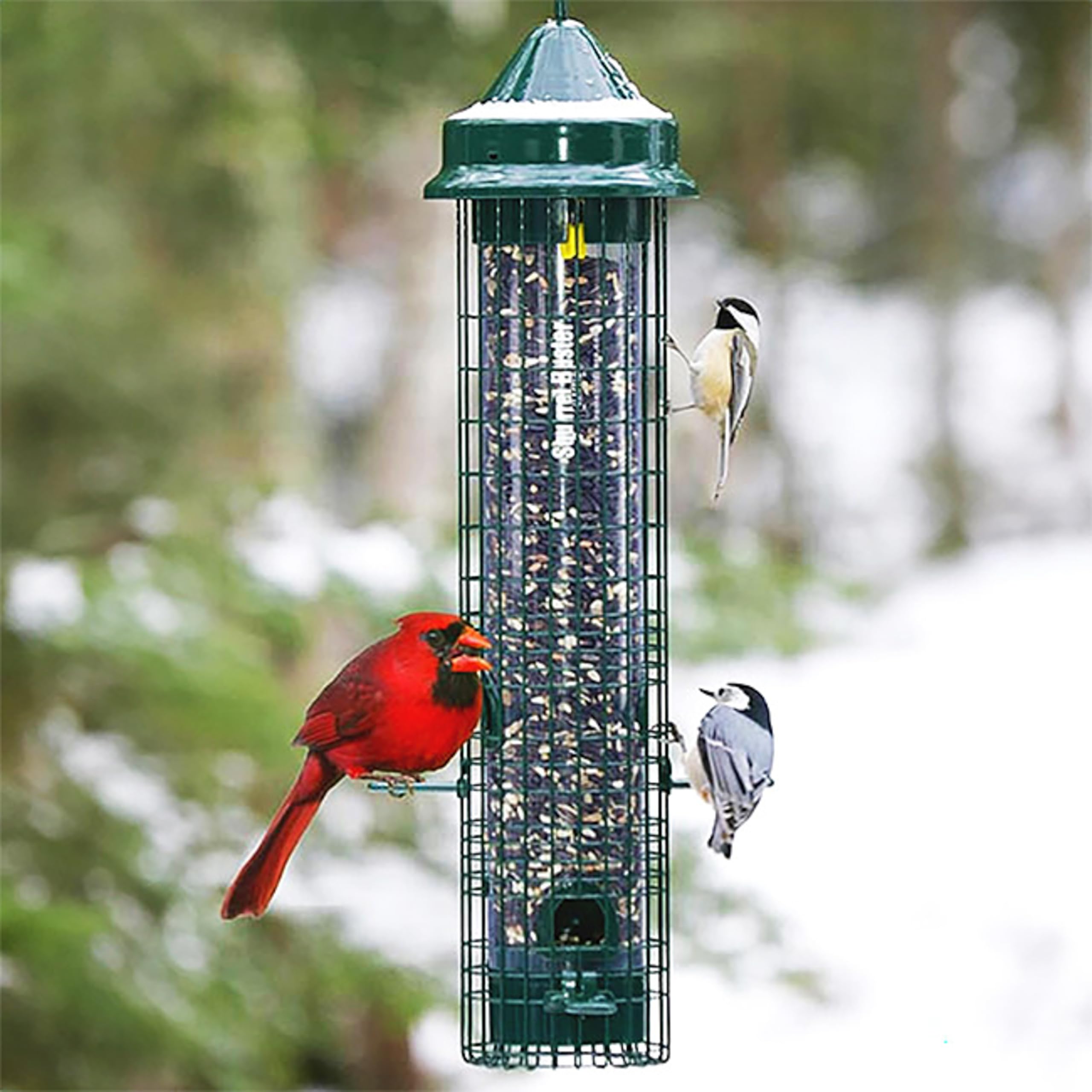 Side view of Squirrel Buster Classic Bird Feeder with feeding ports