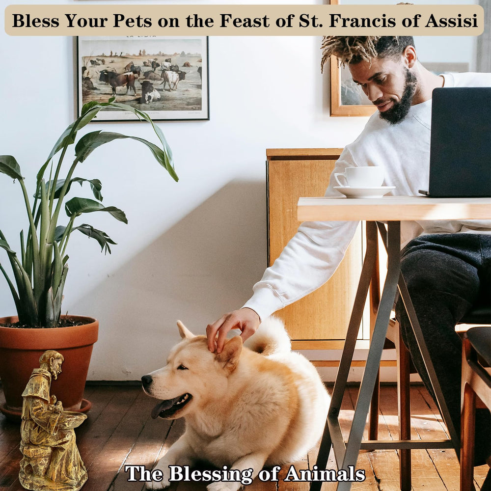 Side view of St. Francis statue with serene expression