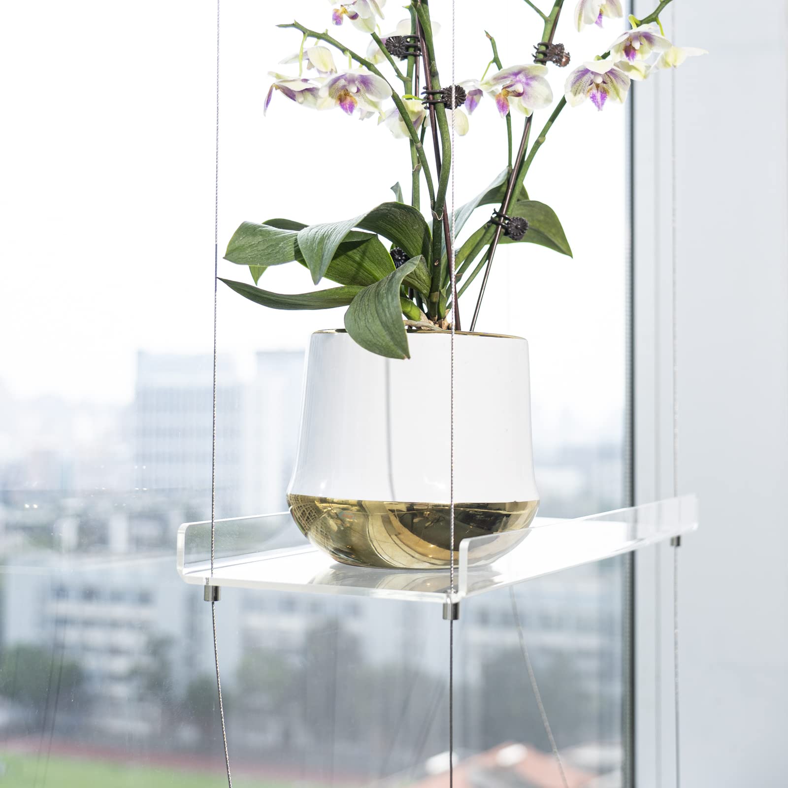Side view of Sumerflos 4 Tier Acrylic Window Shelves with plants