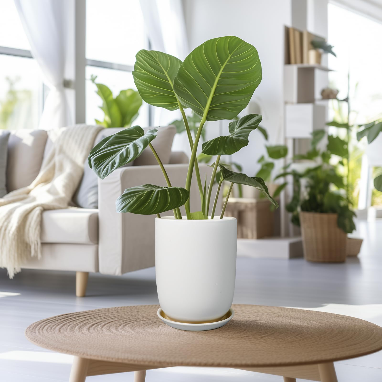 Side view of SUNPOTFOR 8 Inch Ceramic Planter with saucer