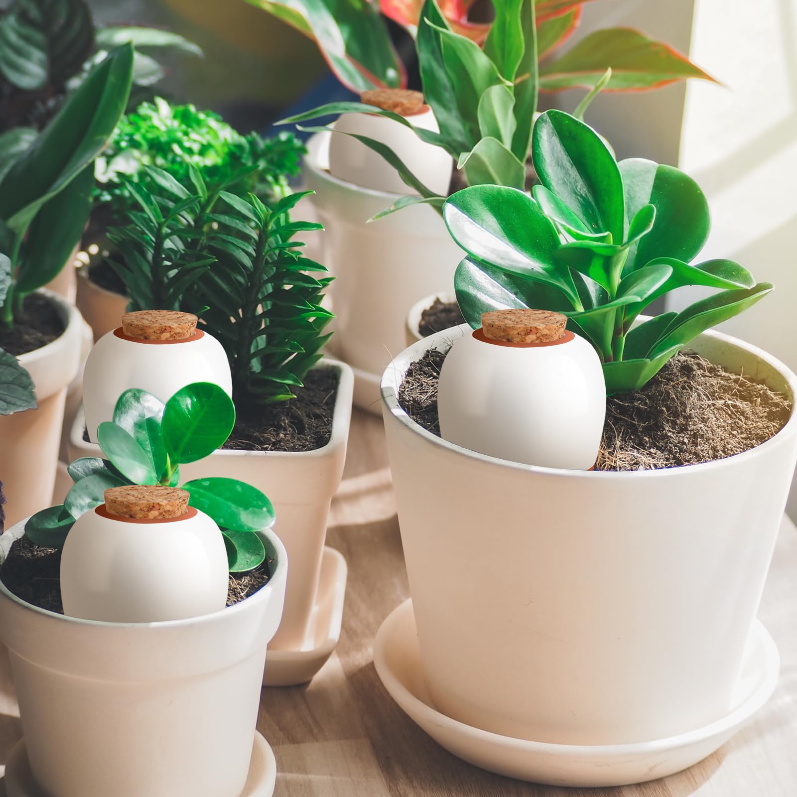 Side view of terracotta watering spikes with water inside