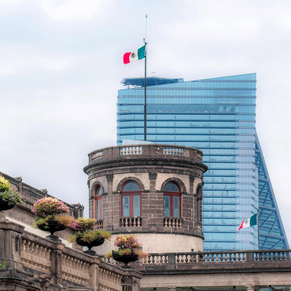 Side view of the Anley Mexico Flag showing stitching details
