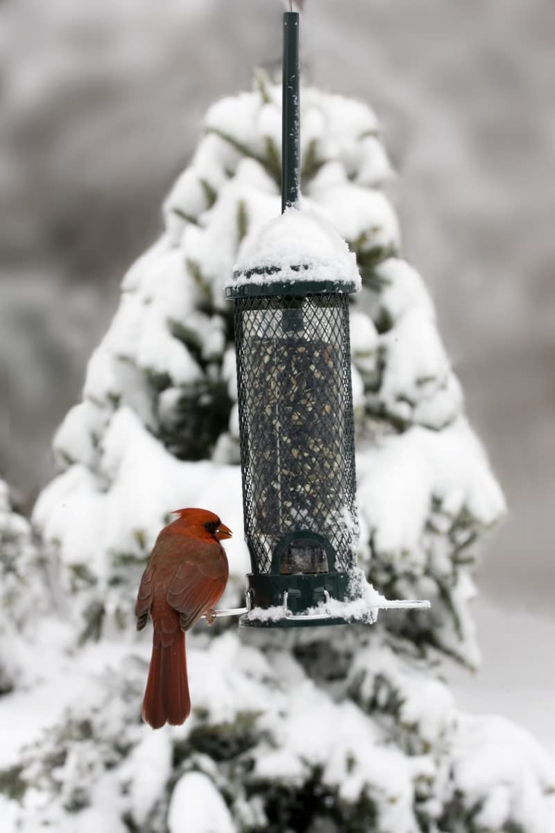 Side view of the Brome Bird Feeder showing metal construction