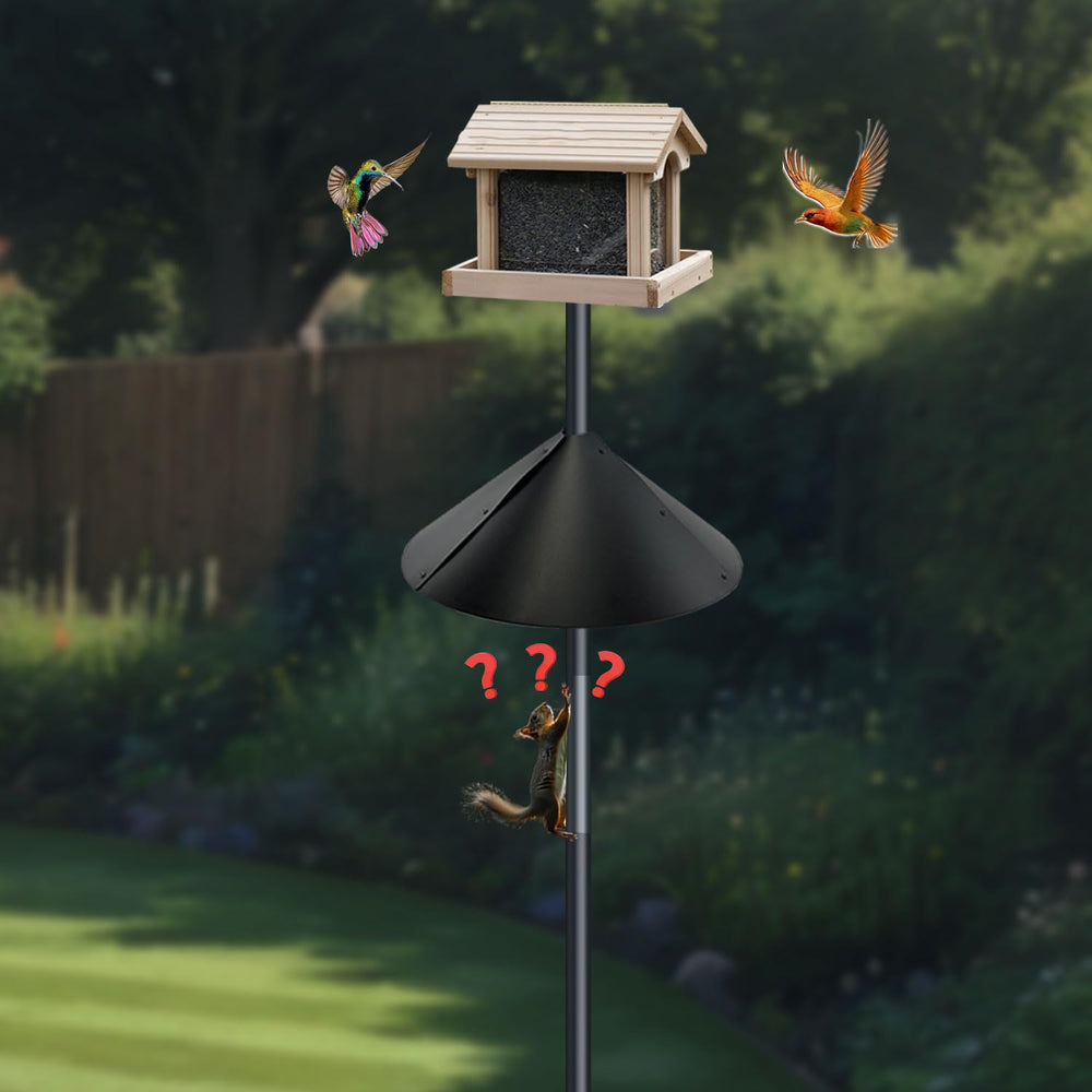 Side view of the Forever Song Squirrel Baffle showing the black-coated surface