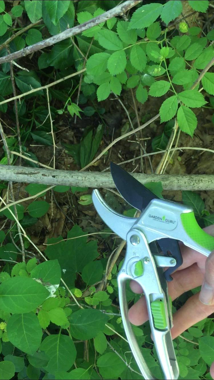 Side view of the Garden Guru pruning shears cutting a branch
