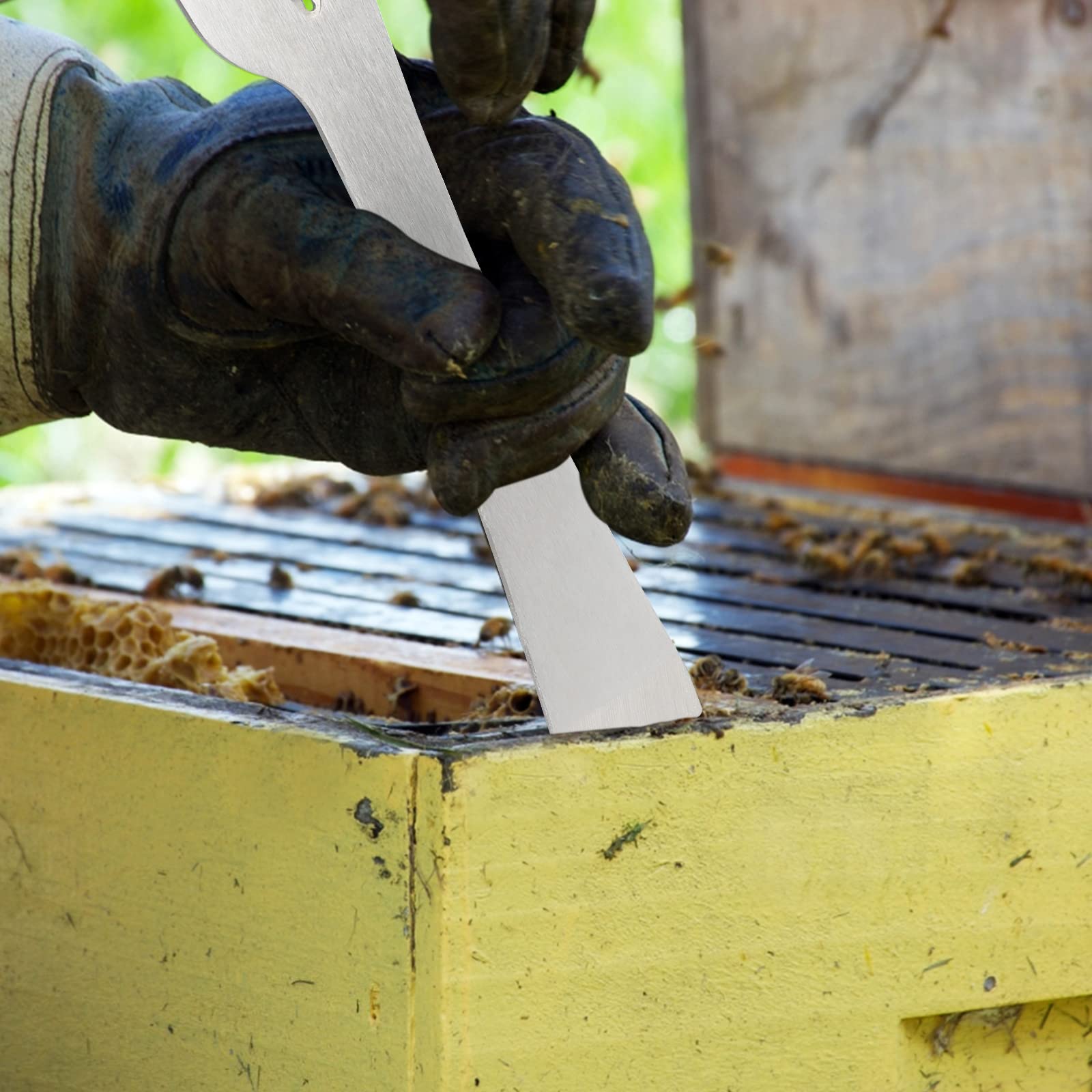 Side view of the KINGLAKE hive scraper tool