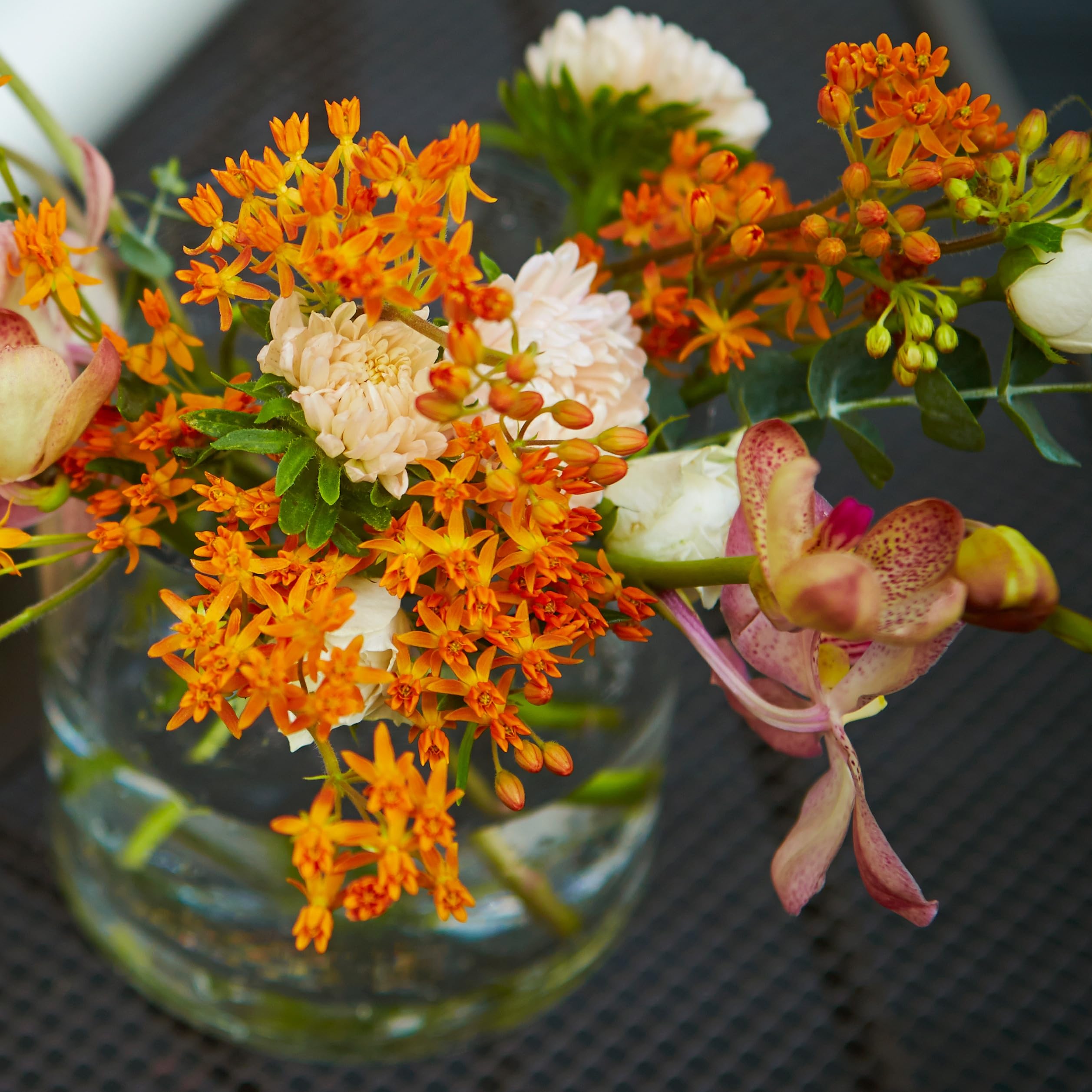 Side view of The Old Farmer's Almanac Butterfly Milkweed Seeds packet