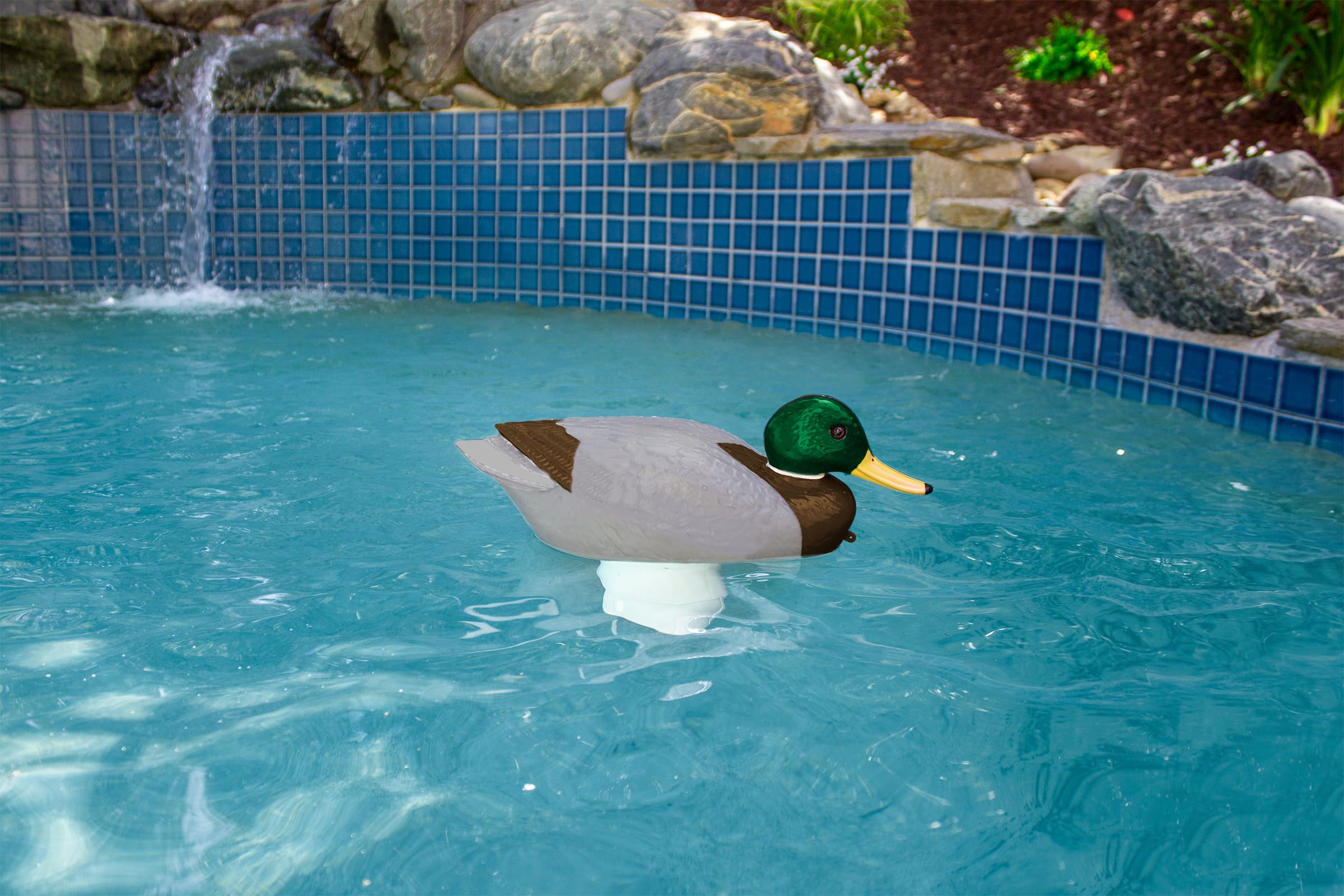 Side view of the Poolmaster Mallard chlorine dispenser