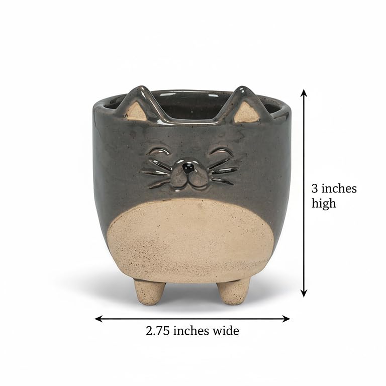 Side view of the Small Cat on Legs Planter with succulent