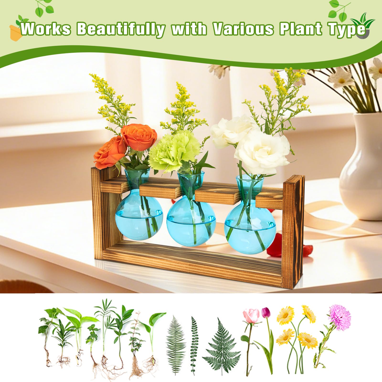 Side view of the XXXFLOWER Plant Terrarium Jar
