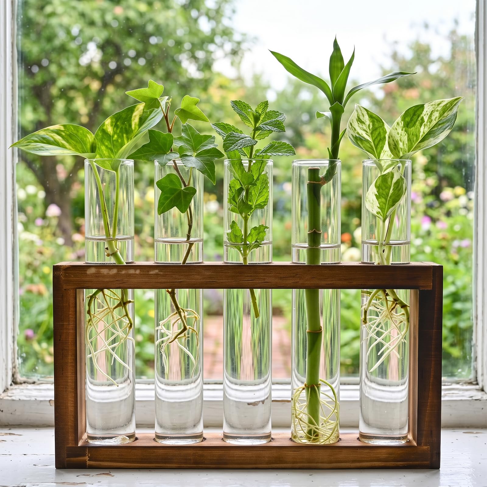 Side view of Tigvio plant propagation station with plants