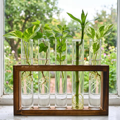Side view of Tigvio plant propagation station with plants
