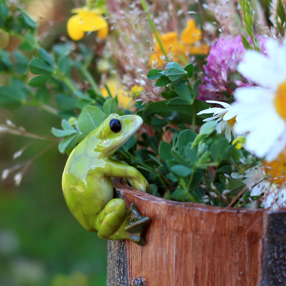 Side view of Top Collection Miniature Fairy Garden Frog Hugger, detailed hand-painted features