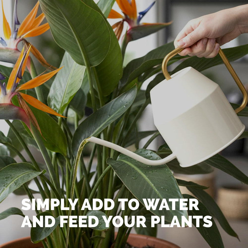 Side view of TPS NUTRIENTS Bird of Paradise Fertilizer bottle