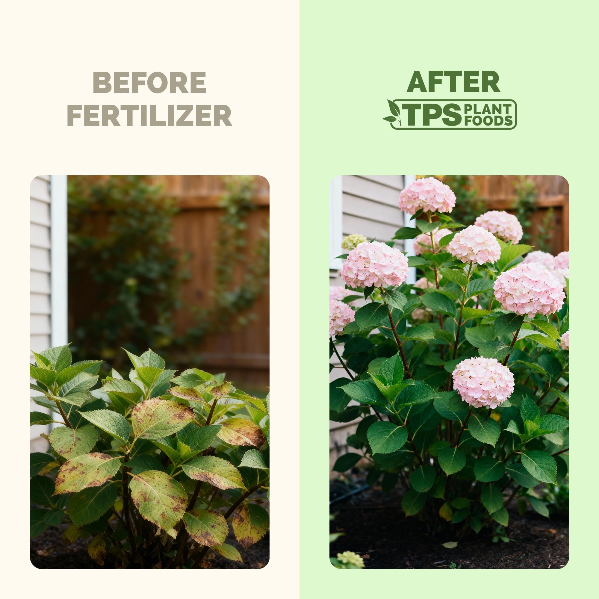 Side view of TPS NUTRIENTS Hydrangea Fertilizer bottle
