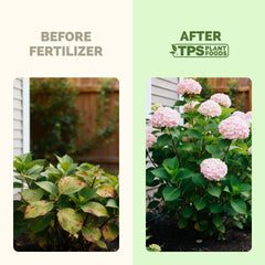 Side view of TPS NUTRIENTS Hydrangea Fertilizer bottle