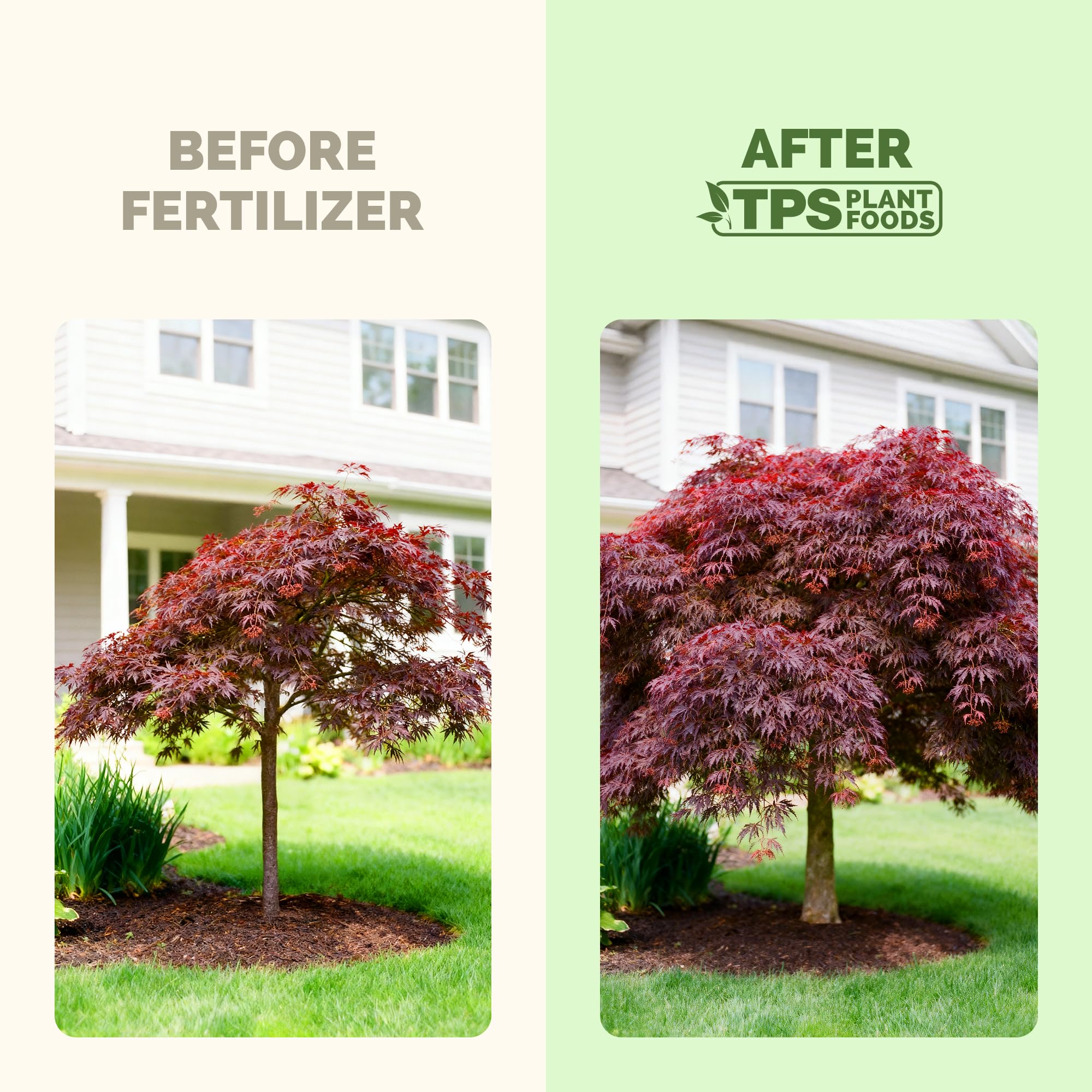 Side view of TPS NUTRIENTS Japanese Maple Tree Fertilizer 8 oz liquid bottle