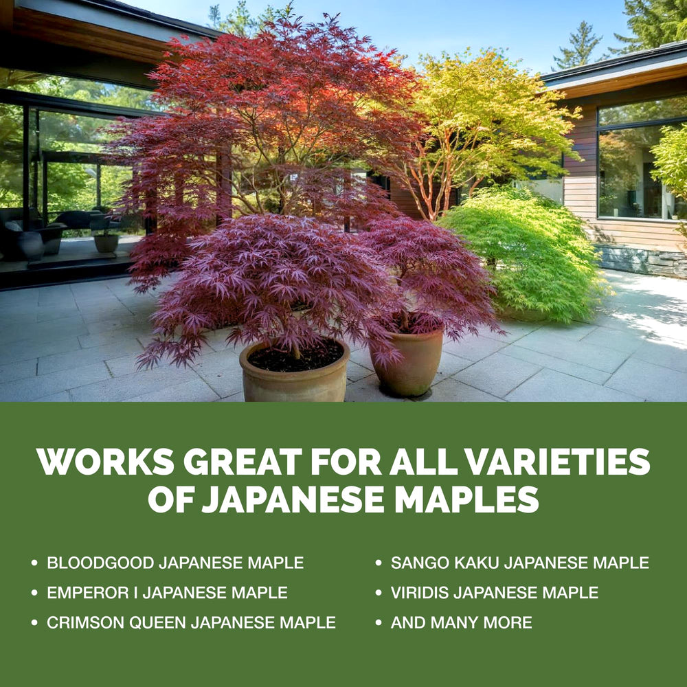 Side view of TPS Nutrients Japanese Maple Tree Fertilizer bottle