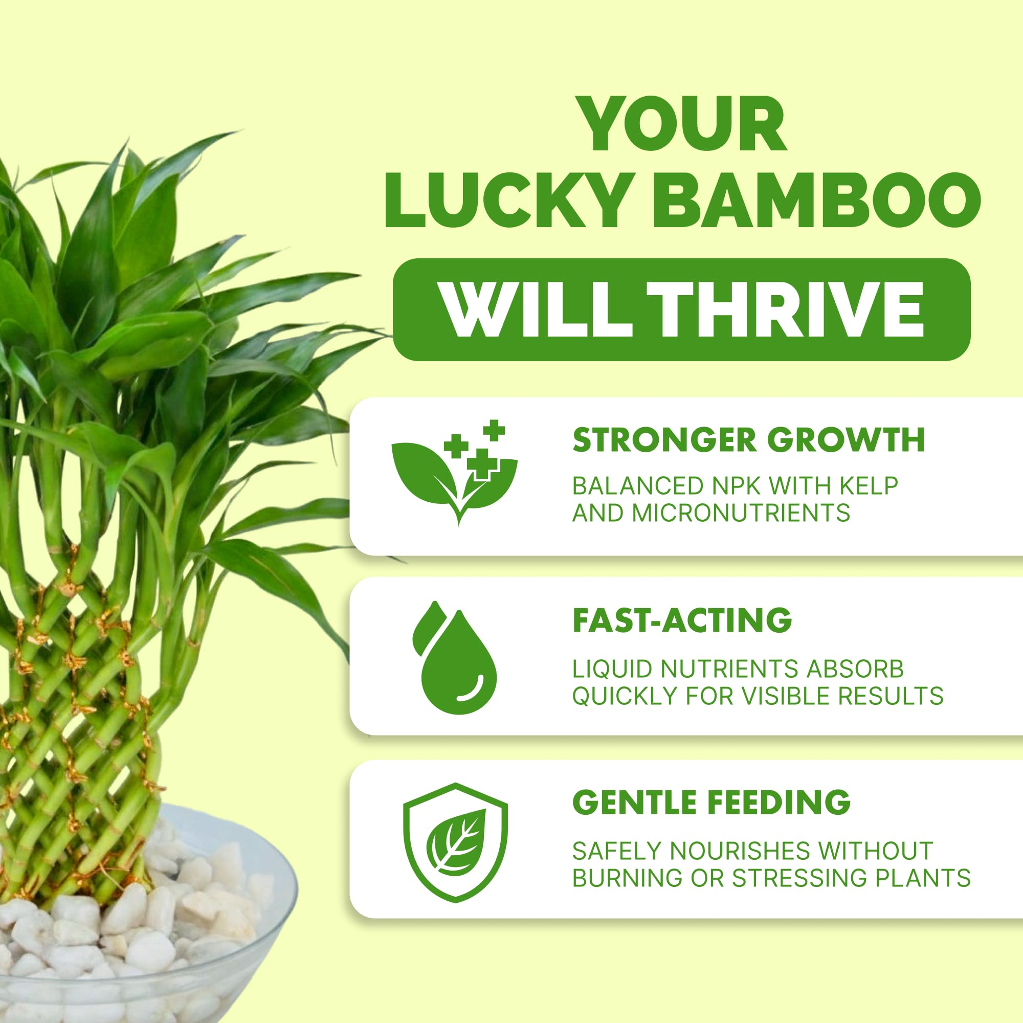 Side view of TPS NUTRIENTS Lucky Bamboo Fertilizer 8 oz bottle