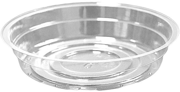 Side view of TRUEDAYS 8 inch clear plant saucer