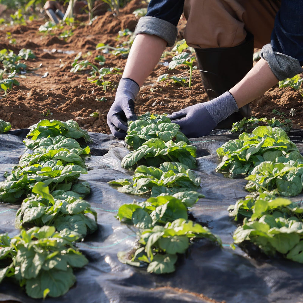 Side view of VEVOR weed barrier landscape fabric packaging