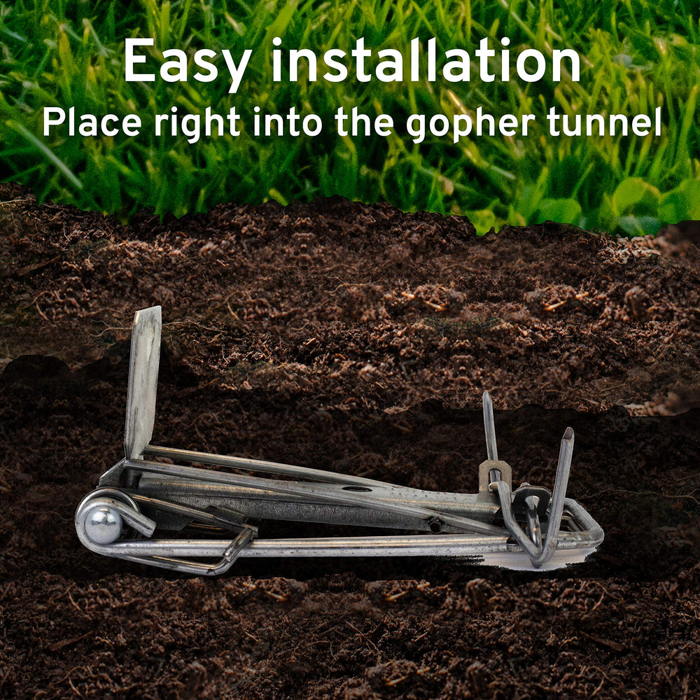 Side view of Victor Easy Set Gopher Trap in use