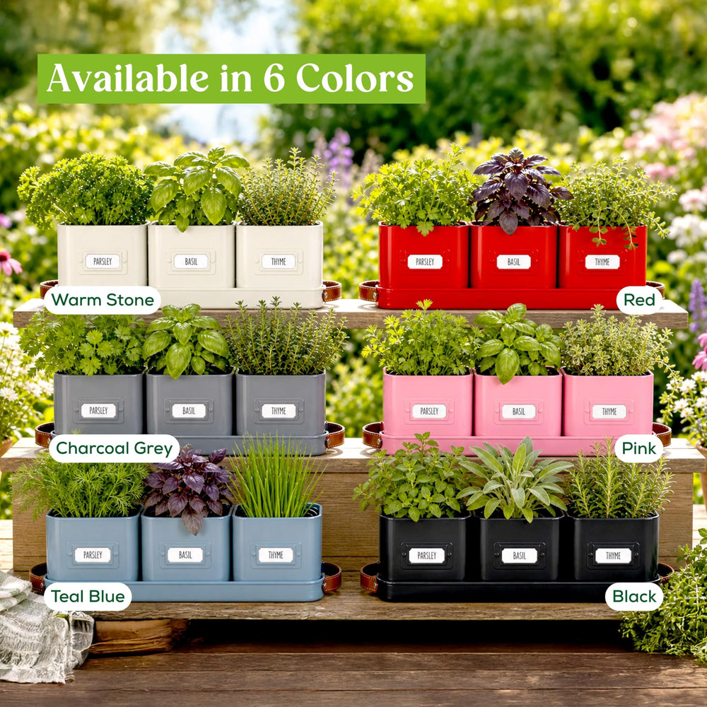 side view of volila herb planter with tray