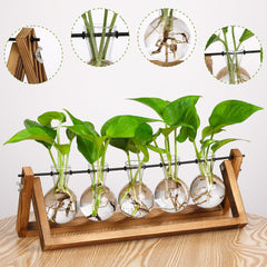 Side view of YIBOT Plant Propagation Station on a desk