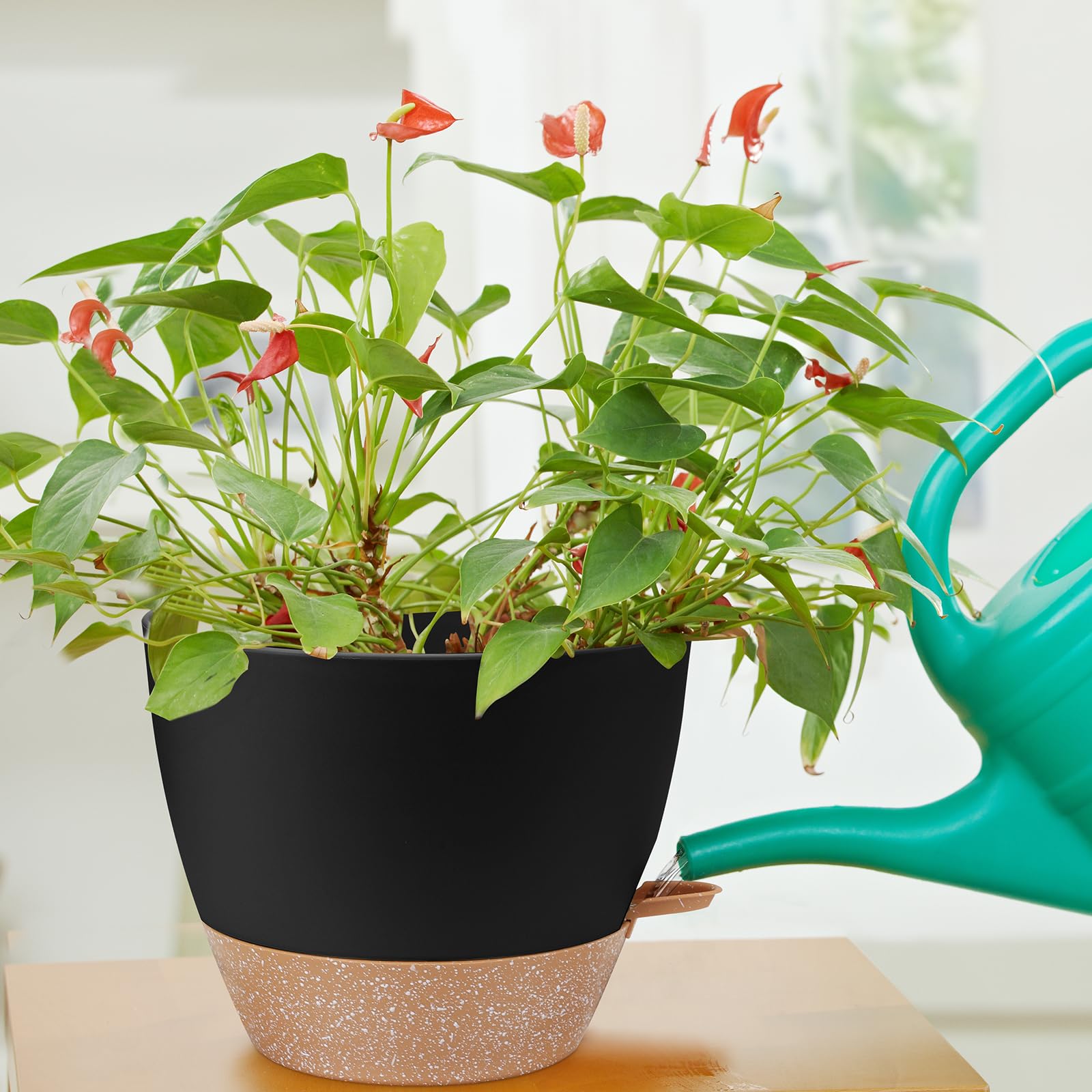 Side view of YNNICO self watering pot showcasing its design