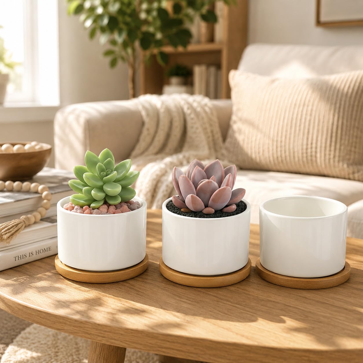 Side view of ZOUTOG ceramic pot with succulent plant