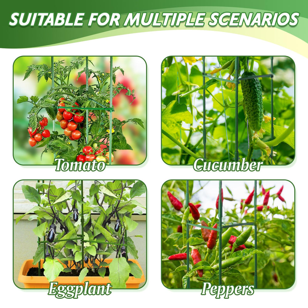 Sidefusi tomato cage in a greenhouse setting