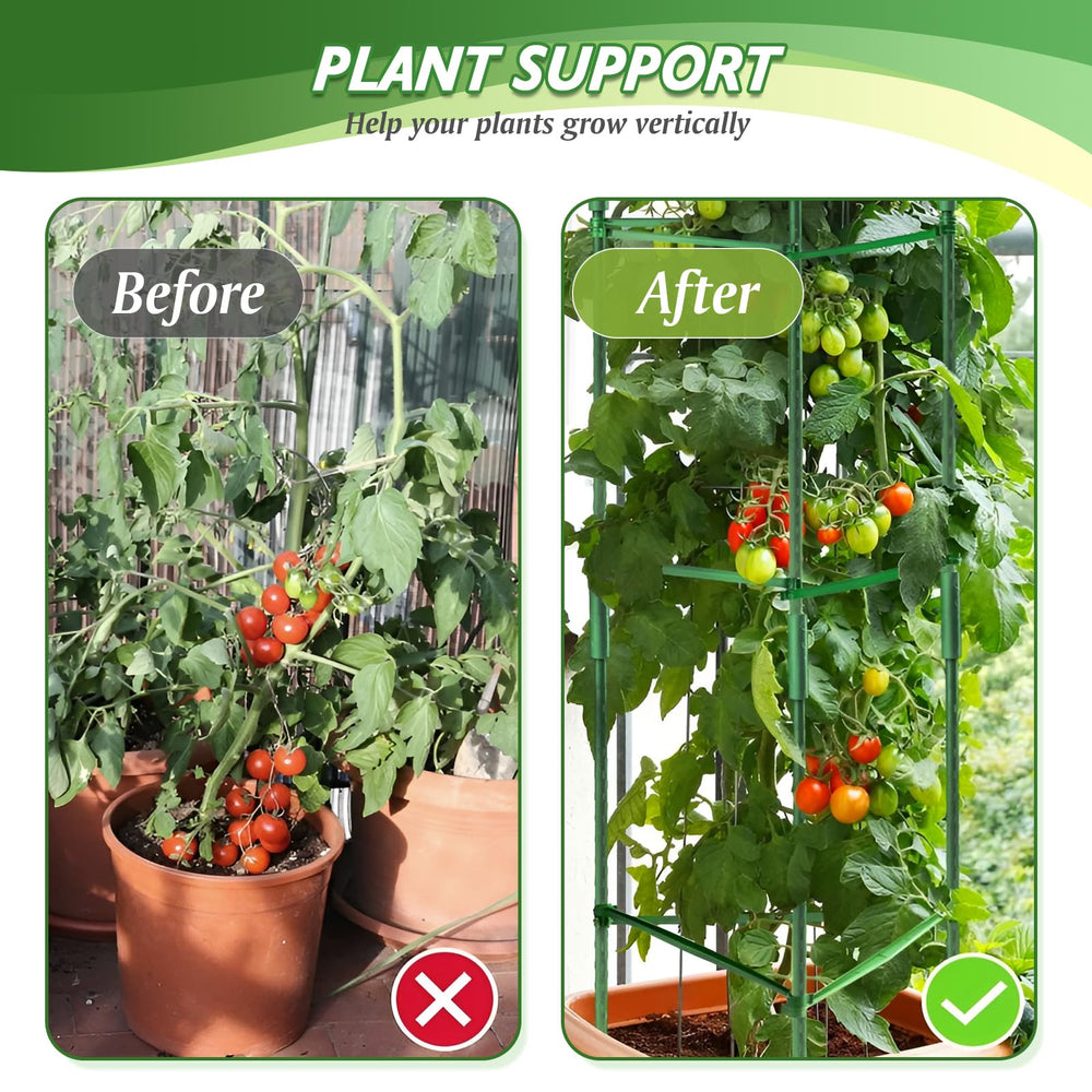 Sidefusi tomato cage sturdy assembly in garden