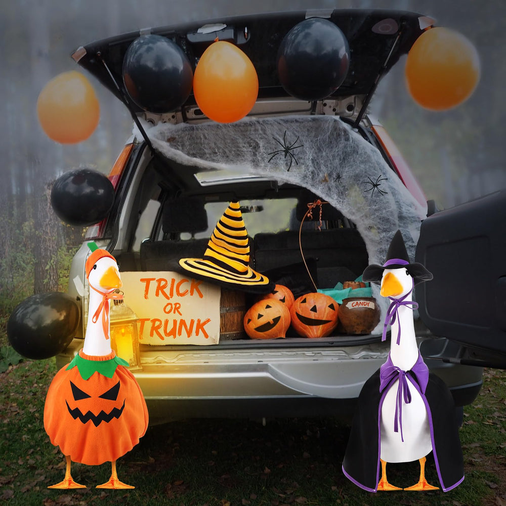 Silicherry Halloween Goose Outfit Set Packaging View