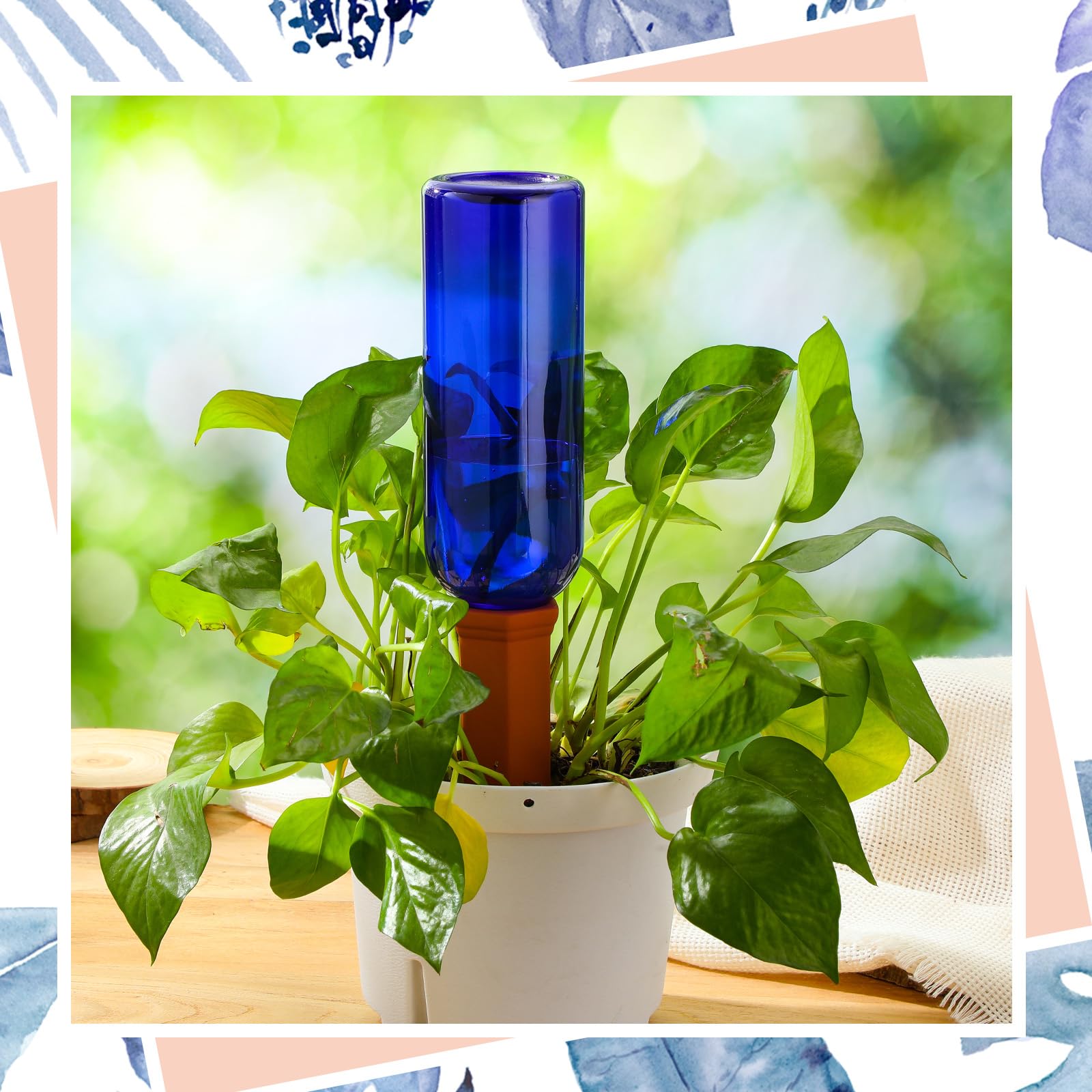 SiliFine self-watering spikes placed in potted plants