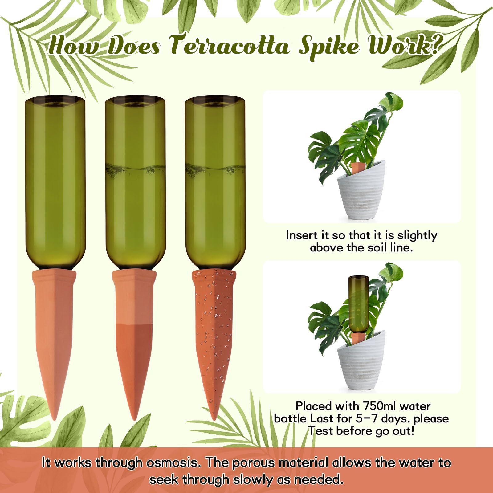 SiliFine Terracotta Watering Spike with indoor plants