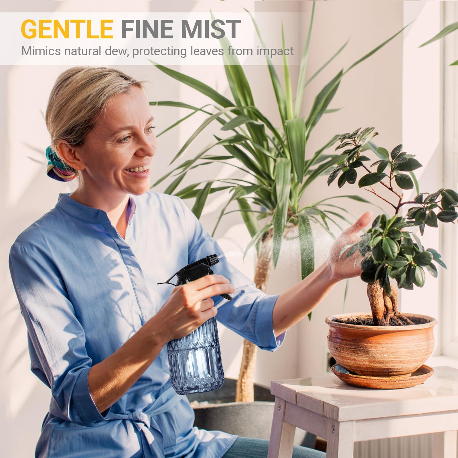 Sincengel Glass Plant Mister used for watering plants