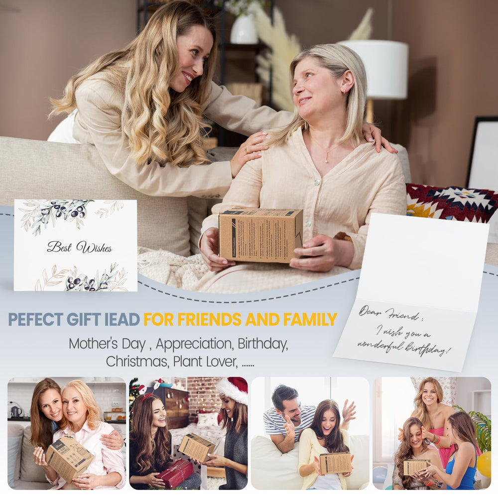 Sincengel Glass Plant Mister with customizable greeting card