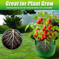 Sinimaka 10 Gallon Grow Bags in a garden setting