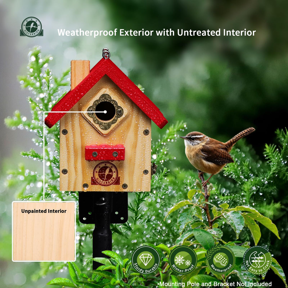 SISTERBIRD birdhouse with birds around it in a natural setting