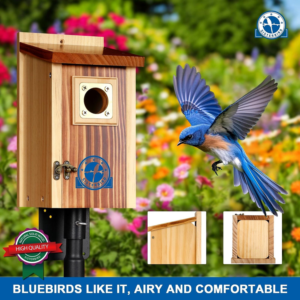 SISTERBIRD Bluebird House side view with vintage door latch