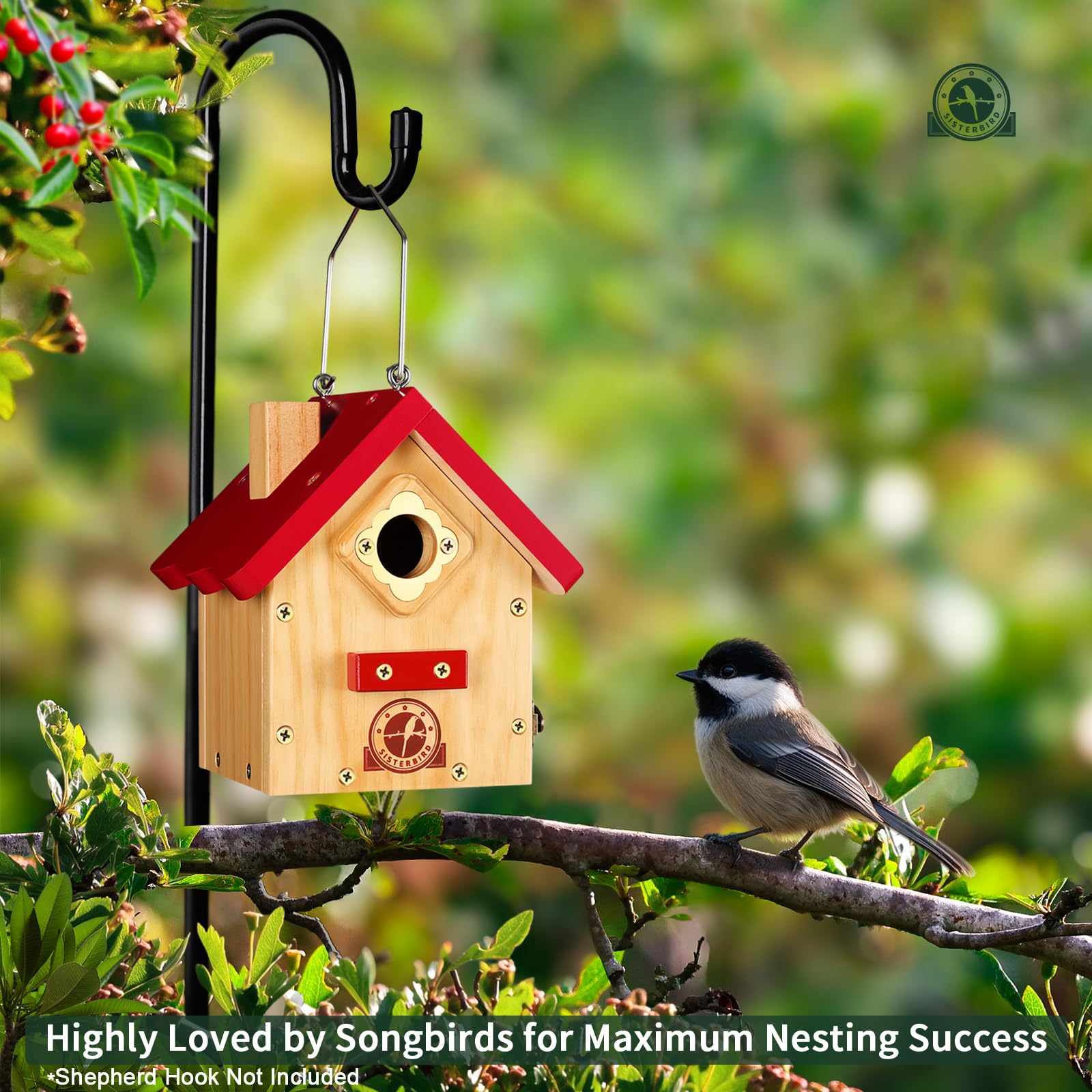SISTERBIRD Wren Bird House packaging with dimensions