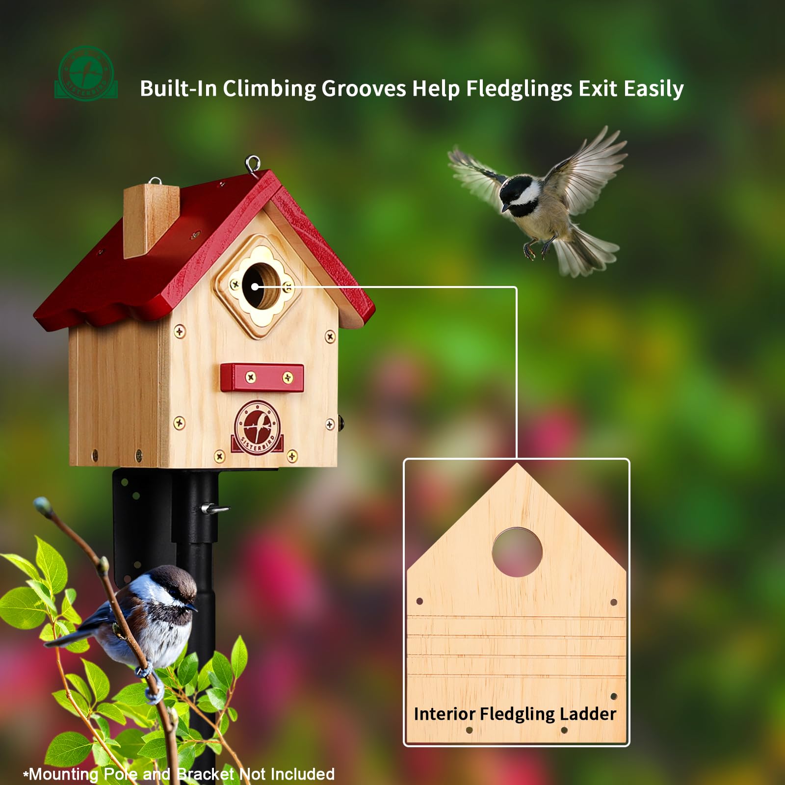 SISTERBIRD Wren Bird House showcased in a garden setting