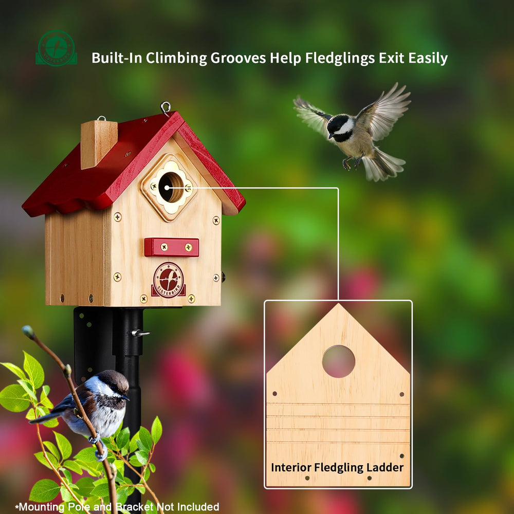 SISTERBIRD Wren Bird House showcased in a garden setting