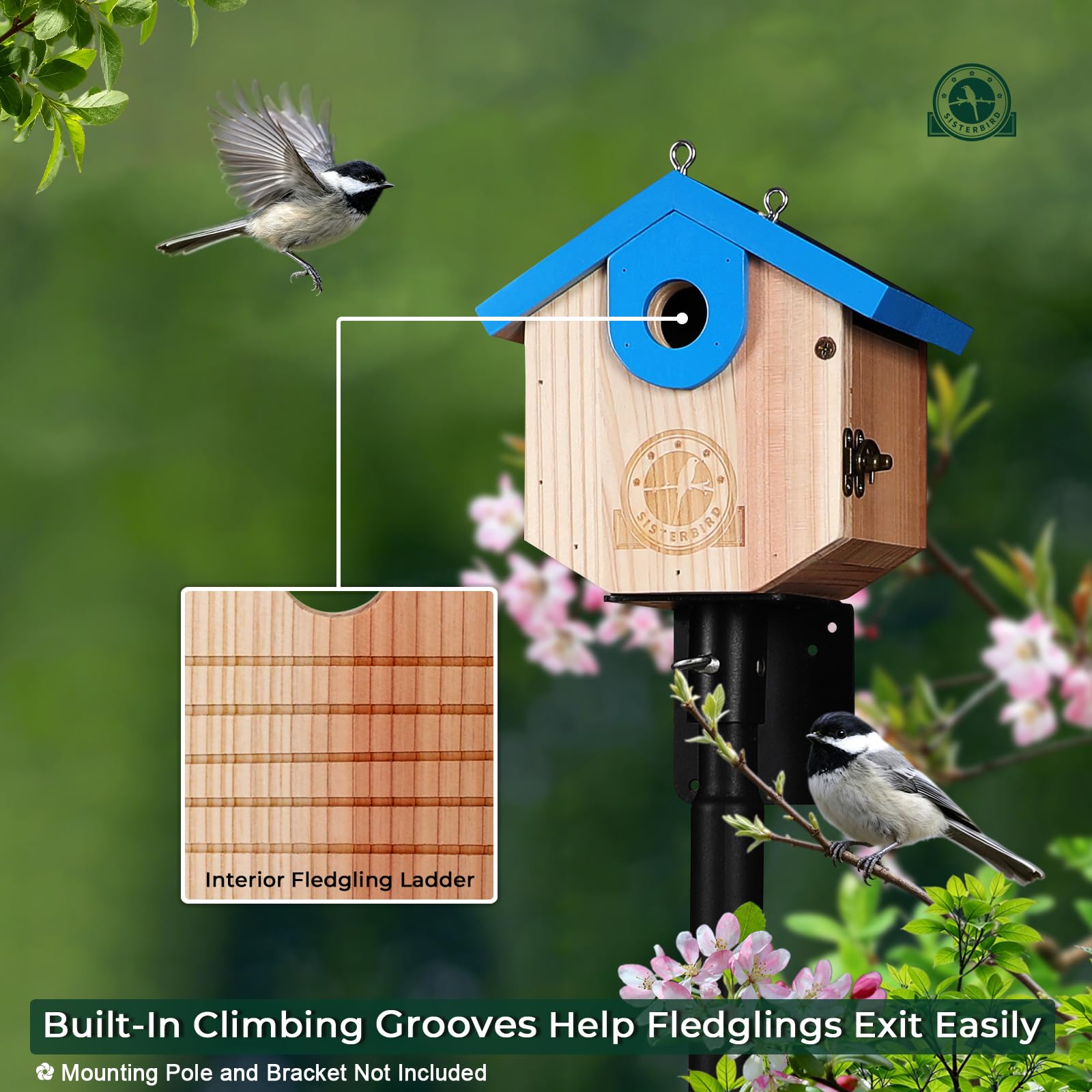 SISTERBIRD Wren Bird House side view