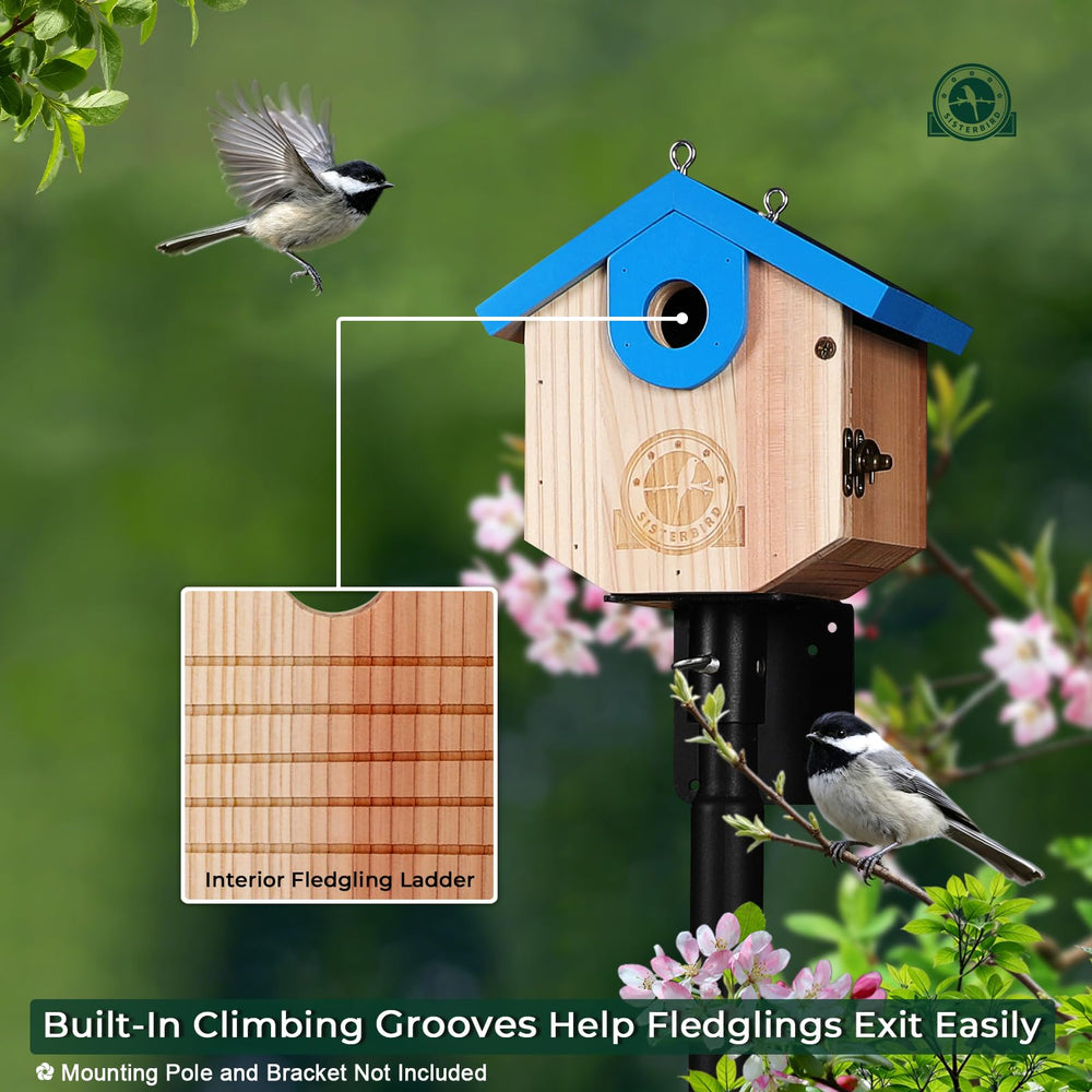 SISTERBIRD Wren Bird House side view