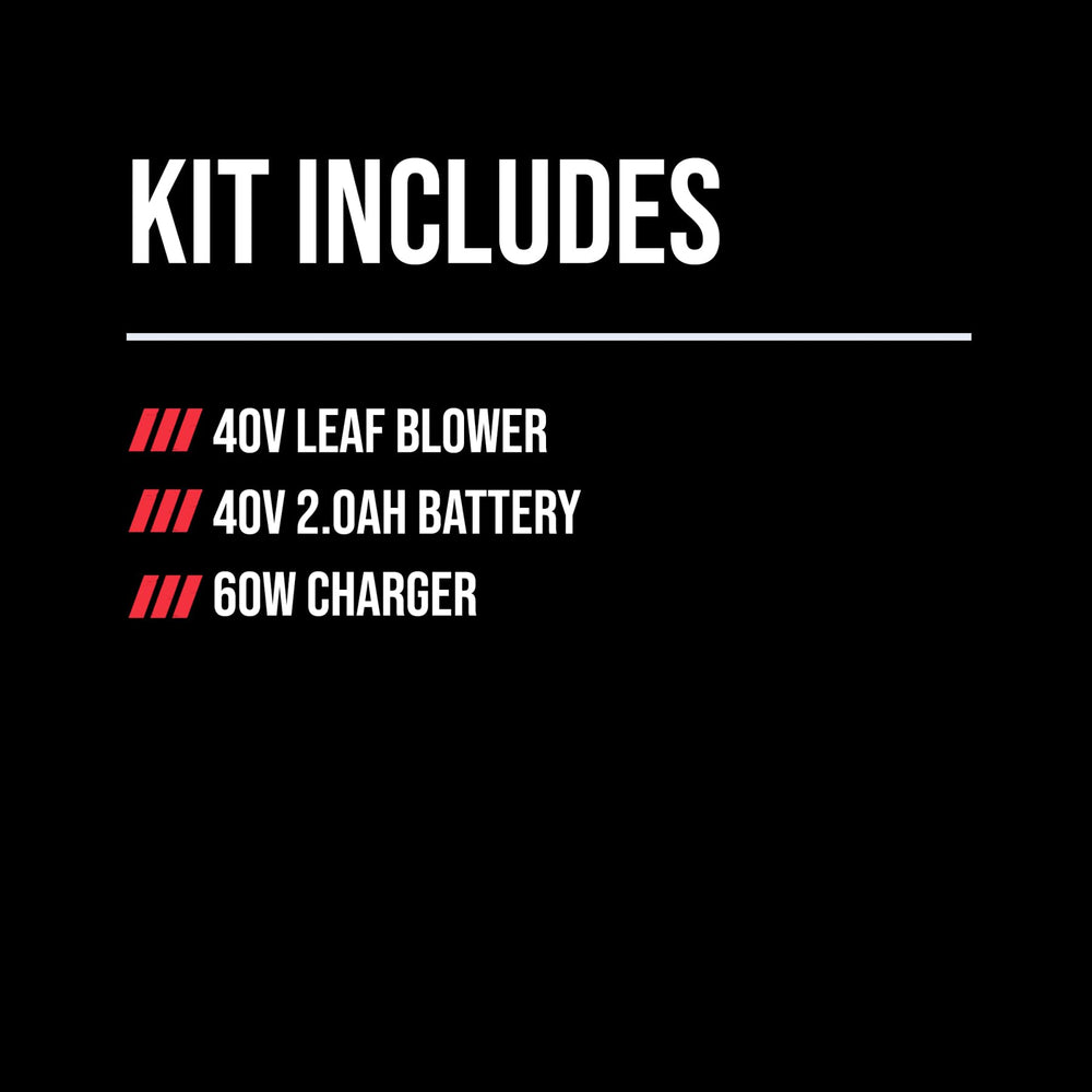 Skil 60W charger for leaf blower battery