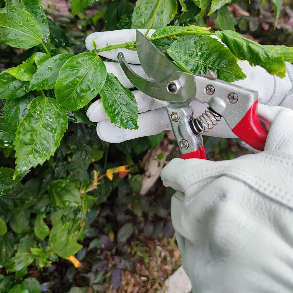 SLARMOR gardening gloves packaging with product details