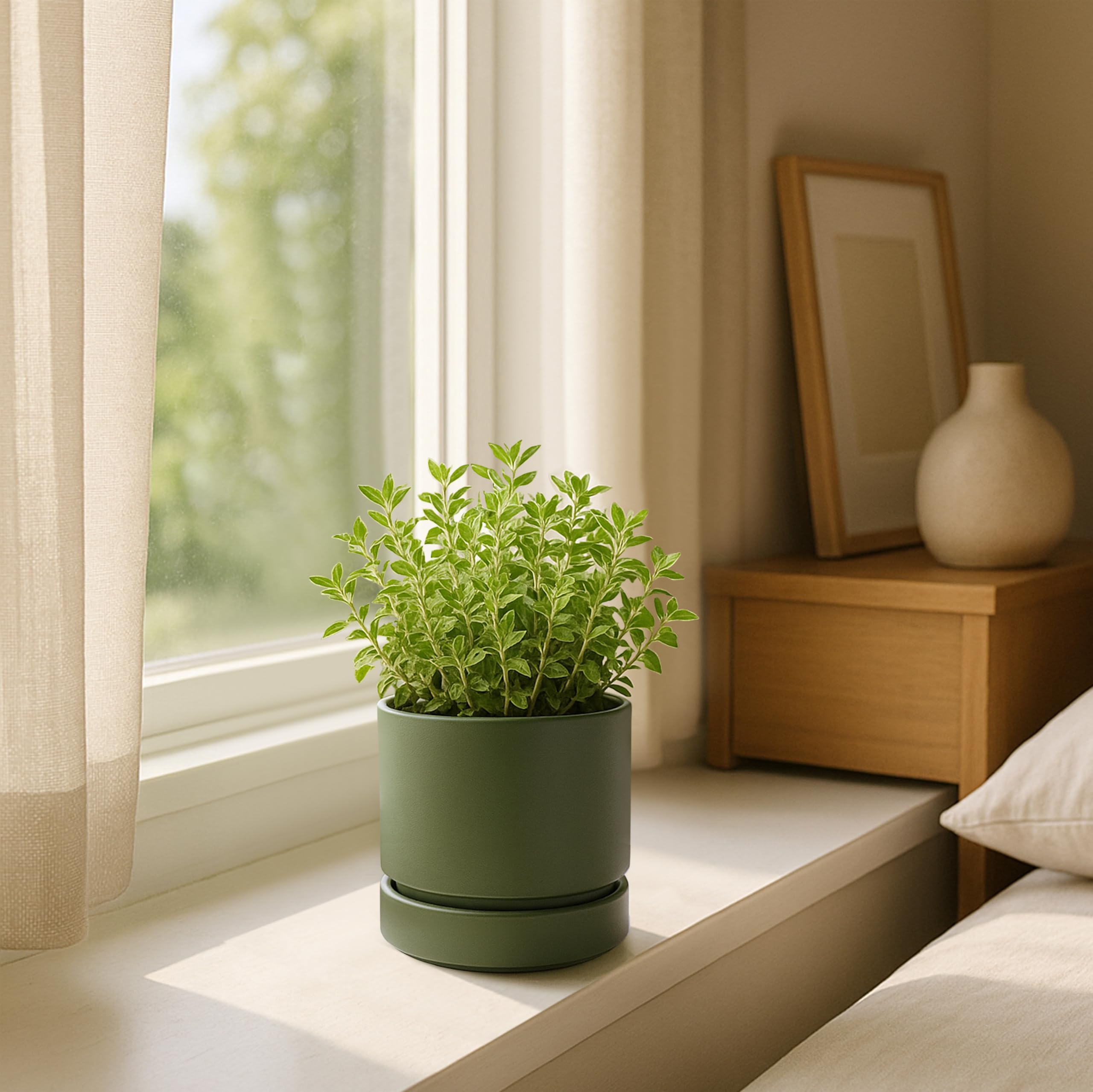 Sleek design of the Phoenix Vine Olive Planter Pot