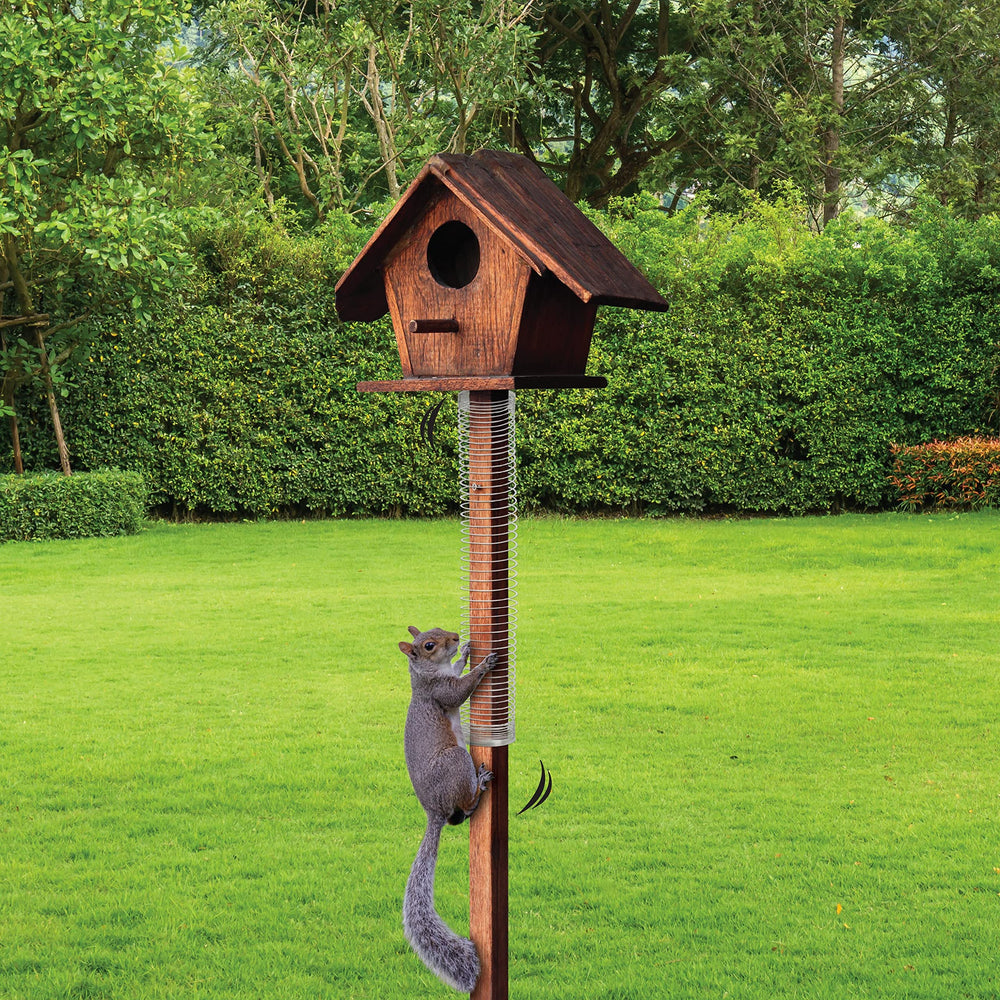 Slinky Scram, Squirrel attached to a bird feeder pole