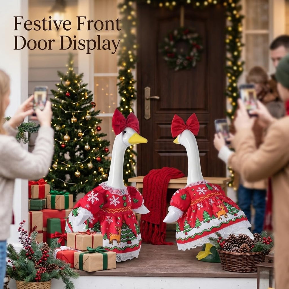 SLUPS Christmas Goose Outfit packaging
